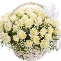 Basket with 51 roses and gypsophila
