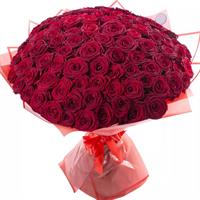 Bouquet of 101 red roses
