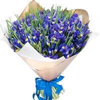 Unrepeatable bouquet of 101 blue irises 