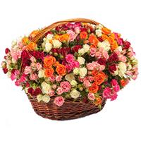 Basket with  bush roses