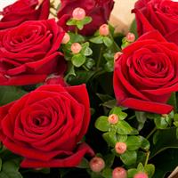 7 шикарных красных роз