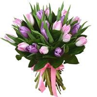 Bouquet of 21 purple and pink tulips