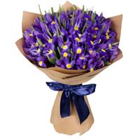 Bouquet of 35 blue irises