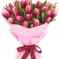 Bouquet of burgundy tulips