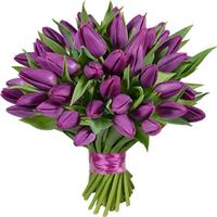 Букет з 35 фіолетових тюльпанів