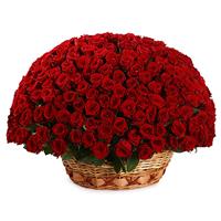 201 red roses in a basket