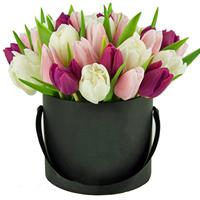 Tulips in a Box