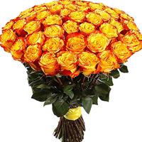 Bouquet of 101 yellow roses imported