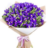 Bouquet of 51 blue irises