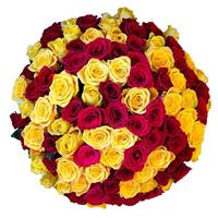 Bouquet of 75 red and yellow roses