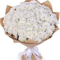 Bouquet of 25 white chrysanthemums