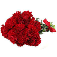 Bouquet of 15 red carnations