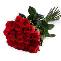 Bouquet of red roses imported