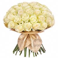 51 a gentle white roses