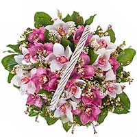 Bouquet of pink and white orchids