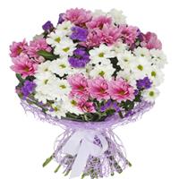 Bouquet of white and pink chrysanthemums