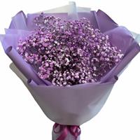 Air bouquet of 5 branches of violet gypsophila