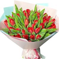 Bright composition of 49 tulips