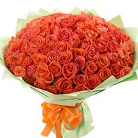 101 orange rose