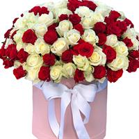 201 red and white roses