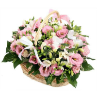A basket of pink eustoma.