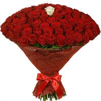 101 red roses and white rose