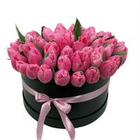 51 тюльпан розового кольору
