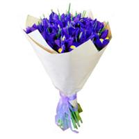 25 irises