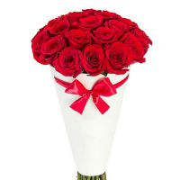 25 red roses in a cone