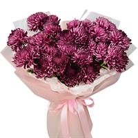 29 одноголовых хризантем бордового оттенка