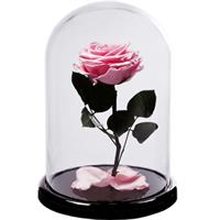 Pink rose in a flask
