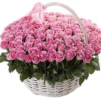 101 pink roses in a basket 