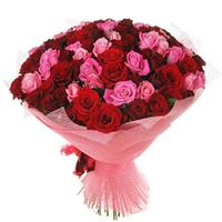 Букет із 65 червоно-рожевих троянд