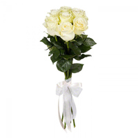 7 чудових білих троянд