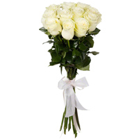 11 incredible white imported roses