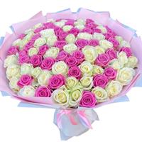 101 pink and white roses
