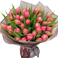Beautiful 37 pink peony tulips